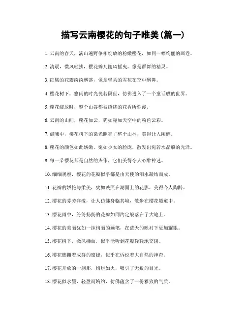 描写云南樱花的句子唯美(精选两篇)