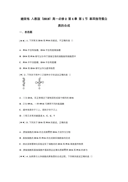 随堂练 人教版(2019)高一必修2 第4章 第1节 基因指导蛋白质的合成(word无答案)