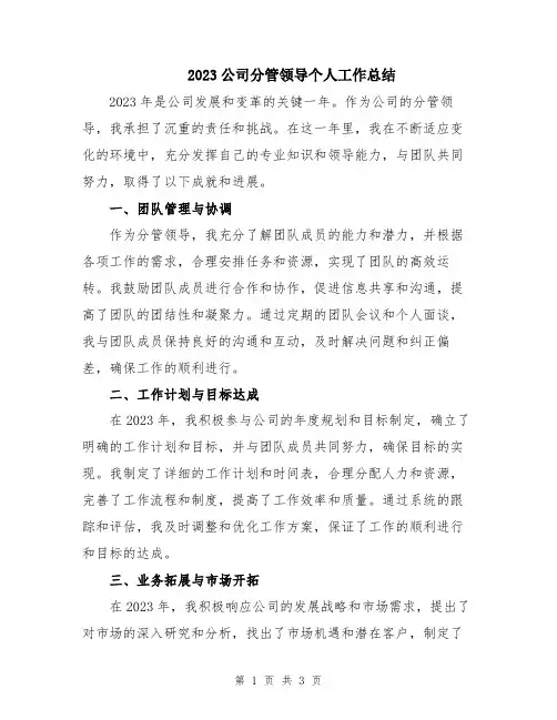 2023公司分管领导个人工作总结