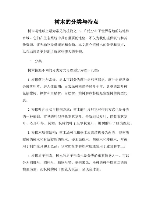 树木的分类与特点