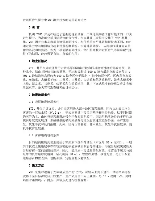 贵州页岩气探井中VSP测井技术的运用研究论文
