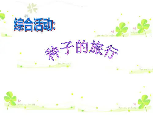 幼儿园大班科学常识PPT课件：种子的旅行