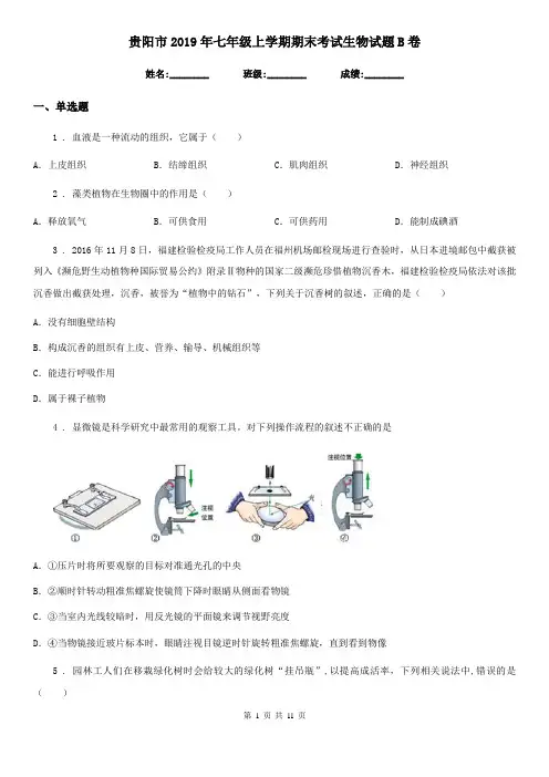 贵阳市2019年七年级上学期期末考试生物试题B卷