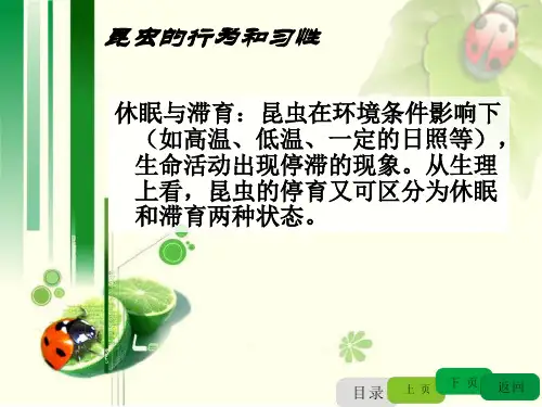 亚热带园艺植物保护昆虫的行为和习惯
