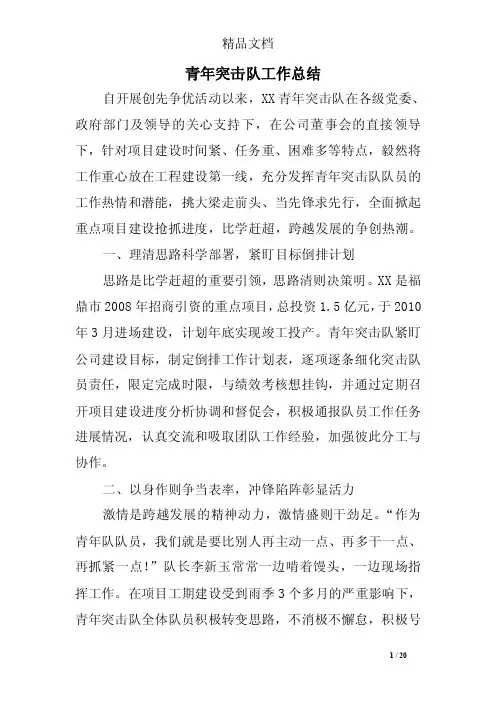 青年突击队工作总结