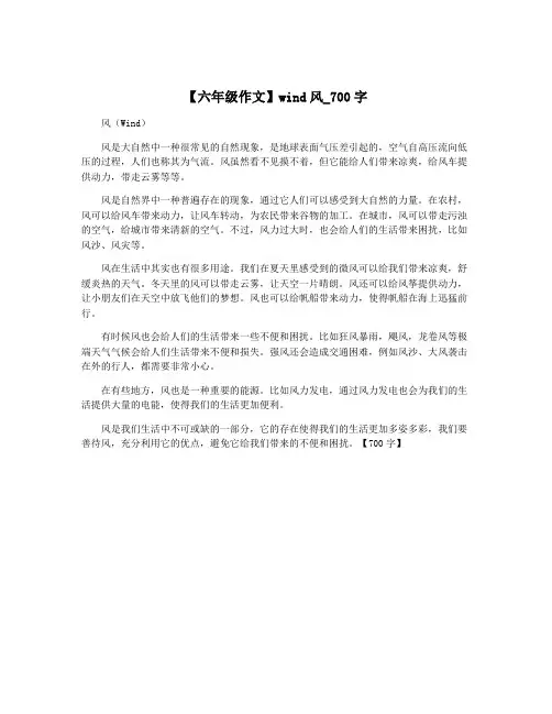 【六年级作文】wind风_700字