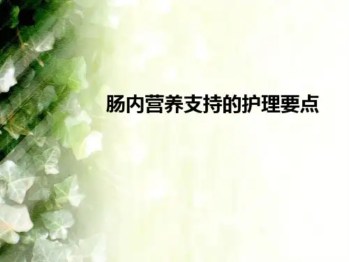 肠内营养支持的护理要点