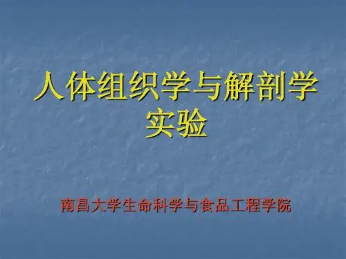 结缔组织实验课件