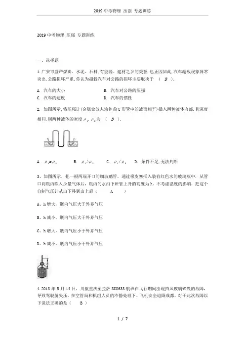 2019中考物理 压强 专题训练
