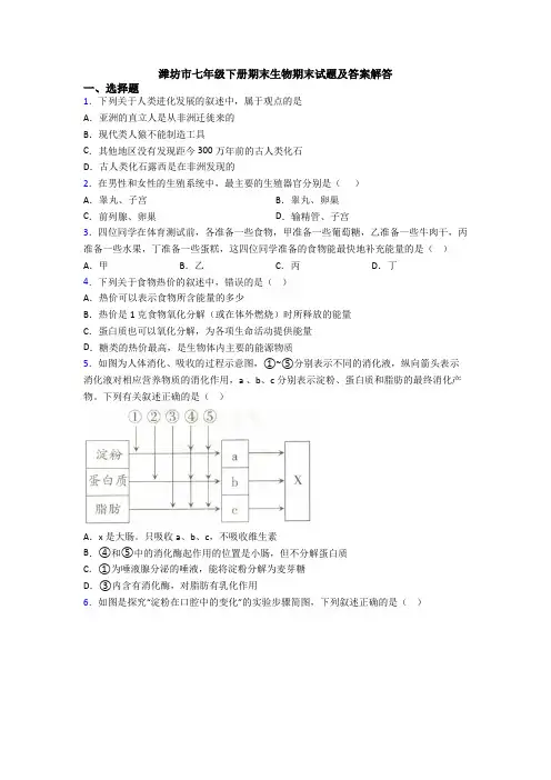 潍坊市七年级下册期末生物期末试题及答案解答