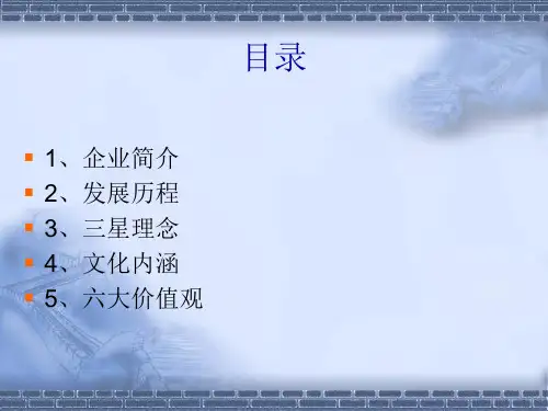 三星集团(Samsung)-17页PPT资料