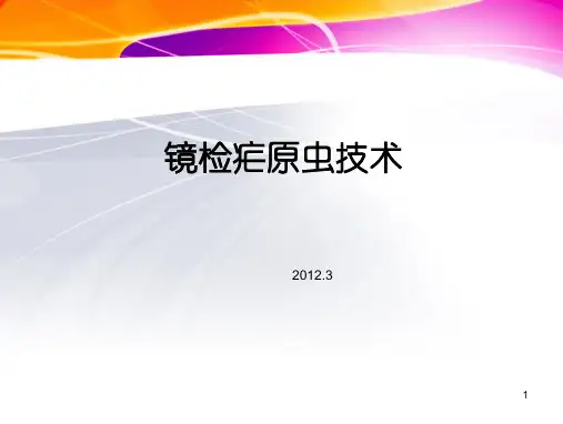 镜疟原虫技术(1)