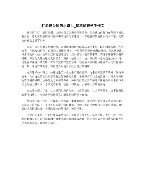 行走在乡间的小路上_初三优秀学生作文
