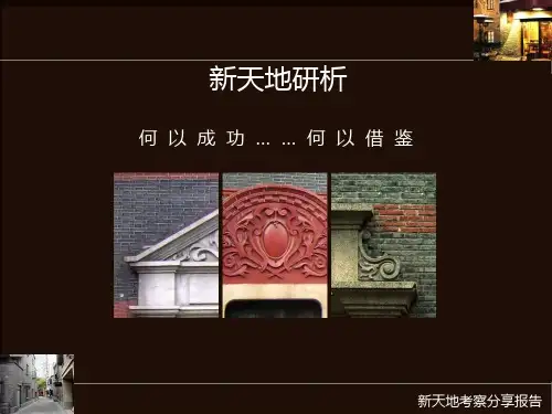 重庆新天地考察调研报告