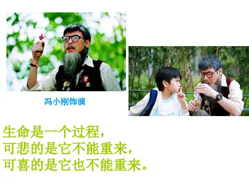 市级公开课细胞的衰老和凋亡 ppt课件
