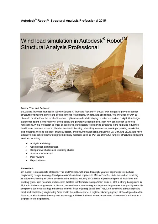 Autodesk Robot Structural Analysis Professional 20