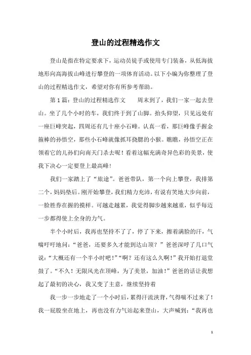 登山的过程精选作文
