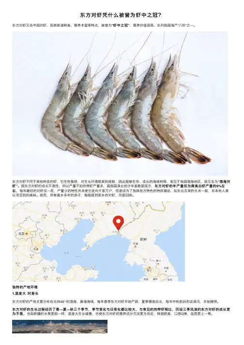 东方对虾凭什么被誉为虾中之冠？