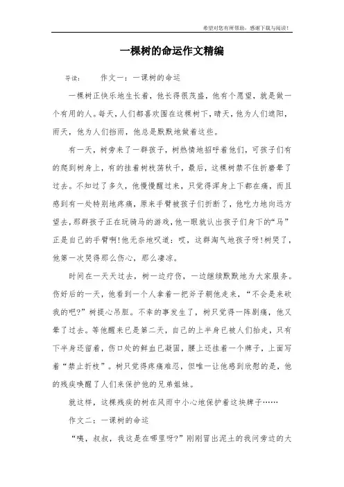 一棵树的命运作文精编