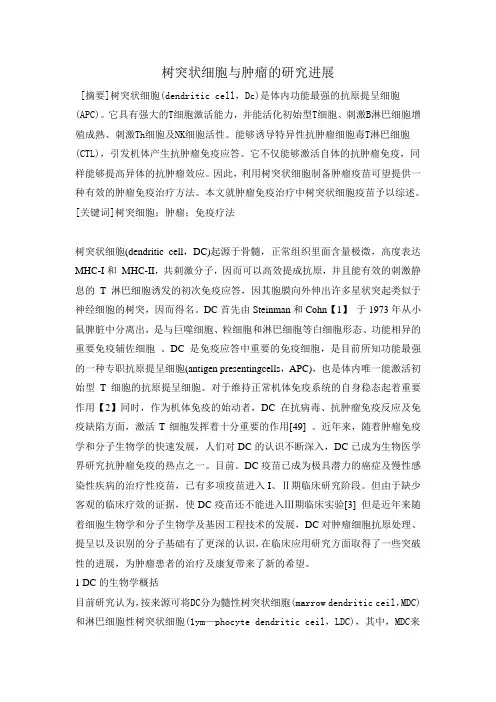 树突状细胞