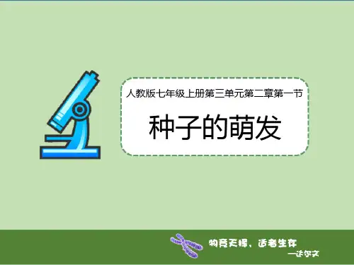 人教版七年级生物上册 种子的萌发 新课件