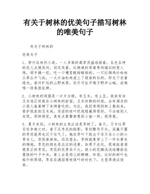 有关于树林的优美句子描写树林的唯美句子