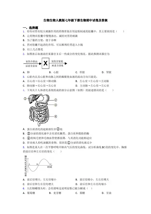 生物生物人教版七年级下册生物期中试卷及答案