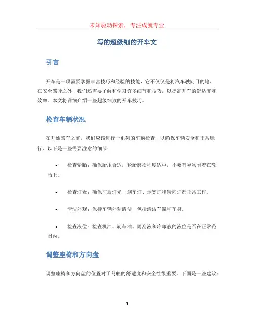 写的超级细的开车文 (2)