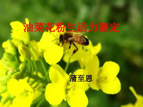 花粉生活力