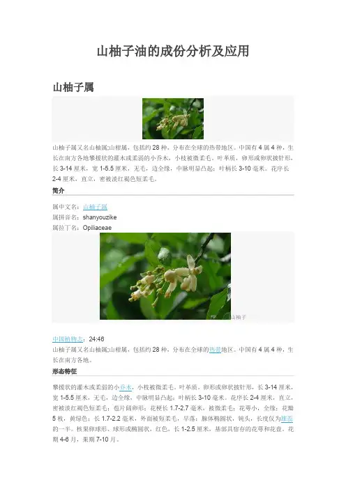 山柚子