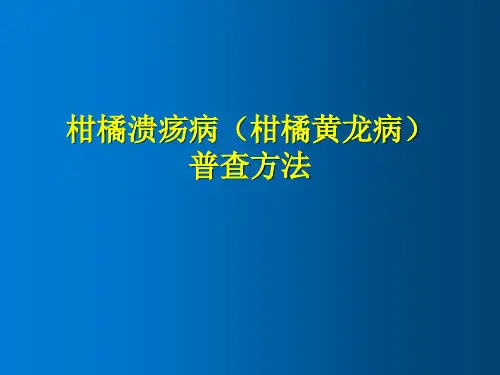 柑橘溃疡病(柑橘黄龙病)普查方法 教学PPT课件