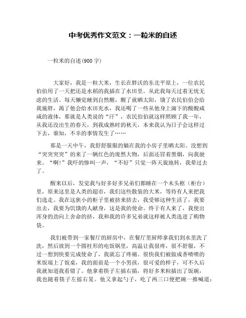 中考优秀作文范文：一粒米的自述