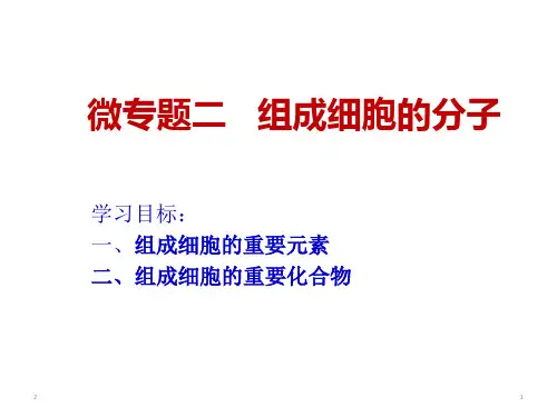 高中生物二轮微专题-组成细胞的分子(共13张ppt)