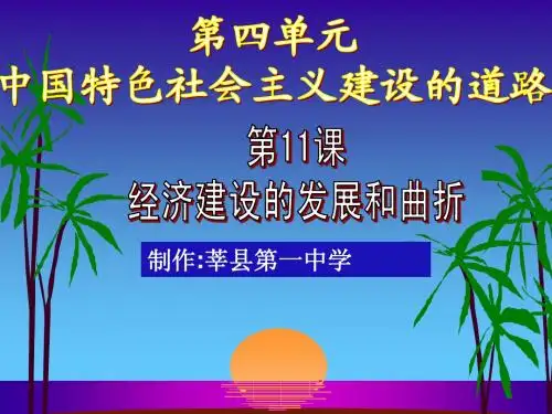 2-11社会主义在探索中曲折发展