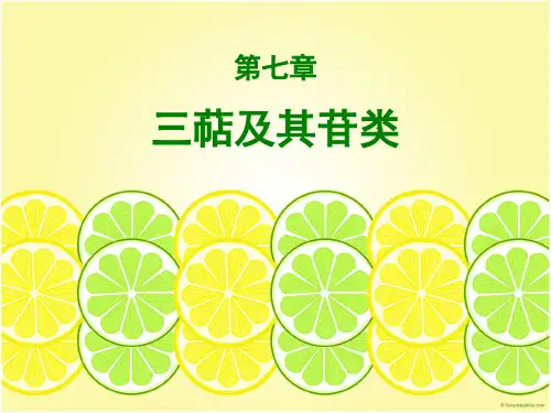 三萜皂苷由三萜皂苷元与糖组成①三萜皂苷元主要是四环三萜与五环