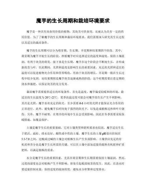 魔芋的生长周期和栽培环境要求