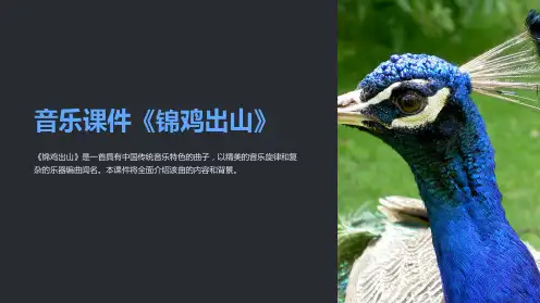 音乐课件《锦鸡出山》