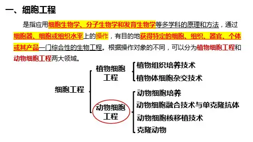 高三生物一轮复习动物细胞工程(4)