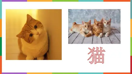 最新统编部编版语文七年级上册《猫》精品教学课件