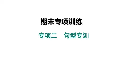 期末专项二句型专训课件++2023-2024学年人教版八年级英语下册