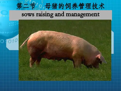 《母猪的饲养》PPT课件_OK