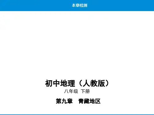 人教版八年级下地理--18-第九章本章检测