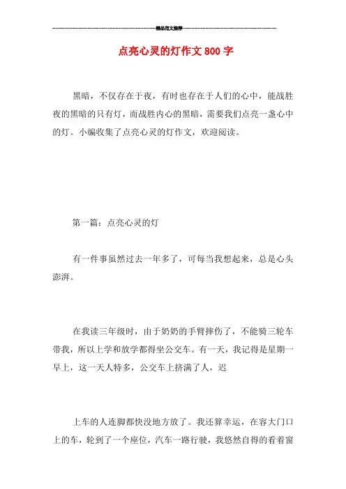 点亮心灵的灯作文800字 2