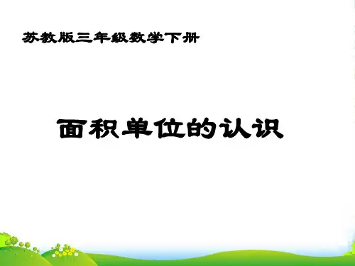 苏教版三年级下册数学课件6.2 面积单位的认识 (共20张PPT)