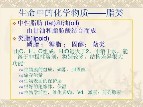生命中的化学(3)脂类