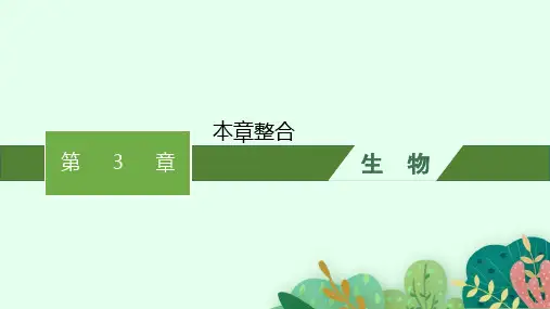 人教版高中生物学选择性必修3生物技术与工程精品课件 第3章 基因工程 本章整合