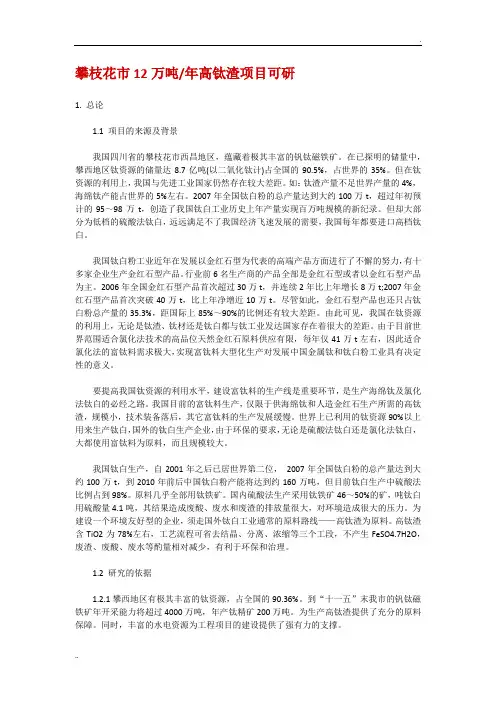 攀枝花市12万吨年高钛渣项目可研