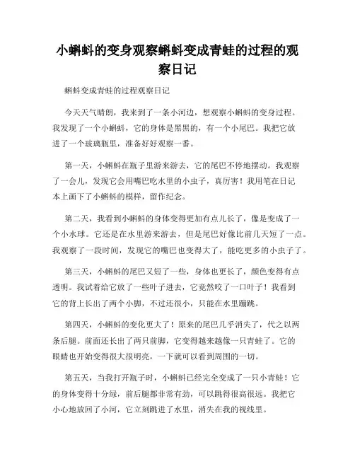 小学三年级作文小蝌蚪的变身观察蝌蚪变成青蛙的过程的观察日记
