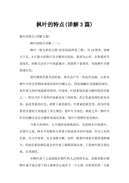 枫叶的特点(详解3篇)