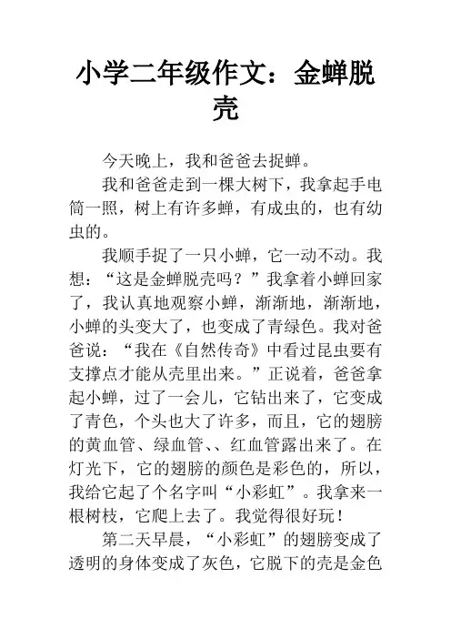 小学二年级作文：金蝉脱壳